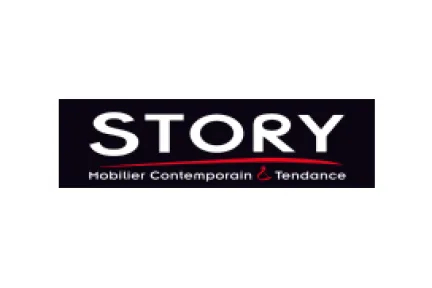 Story > HomeByMe Enterprise > Dassault Systemes